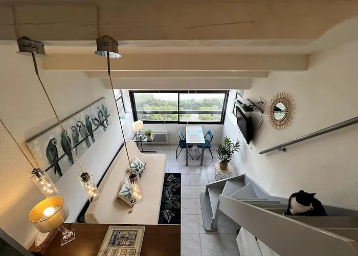 Agrandi Mezzanine 824 - Village Naturiste * Leucate